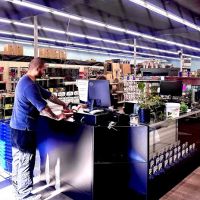Tropical fish world ico