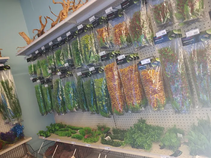 Tropical fish world Picture 5