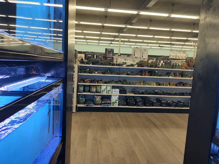 Tropical fish world Picture 10