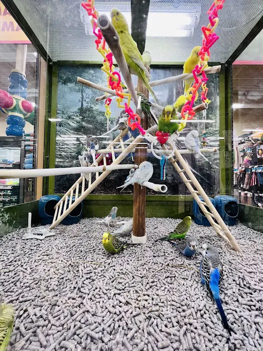 Petco Picture 2