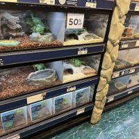 Petco ico