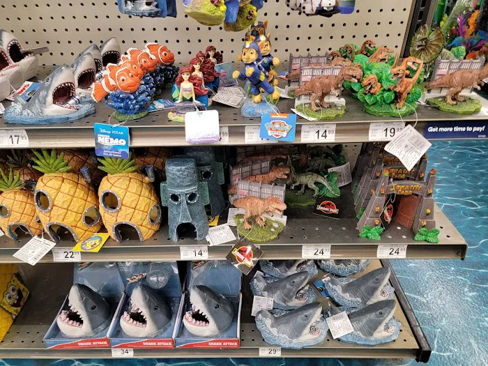 Petco Picture 9