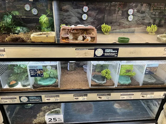 Petco Picture 6