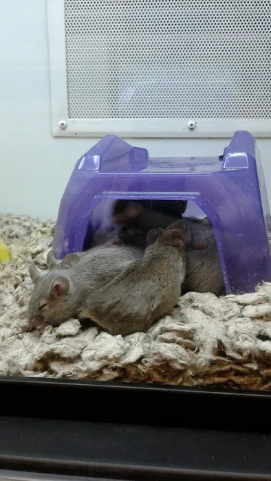 Petco Picture 8