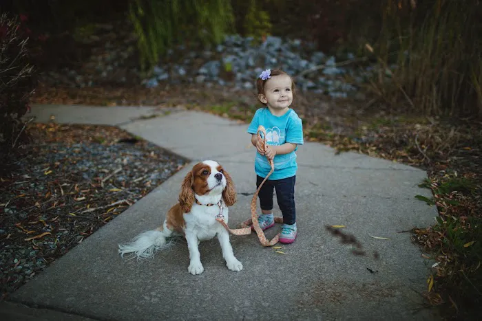 Westside Animal Hospital Picture 5