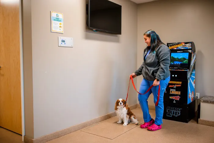 Westside Animal Hospital Picture 10