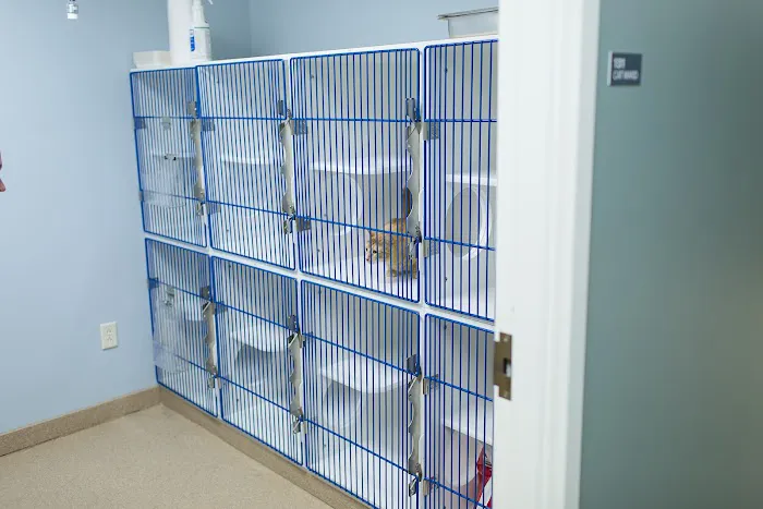 Westside Animal Hospital Picture 8