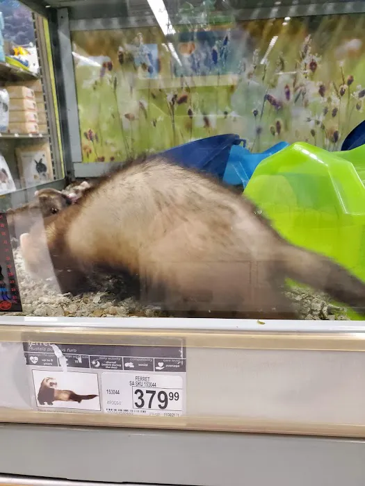 Petco Picture 5