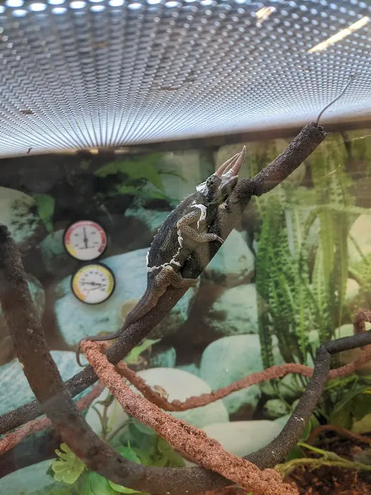 Petco Picture 7