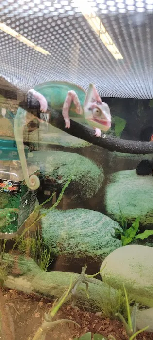 Petco Picture 6