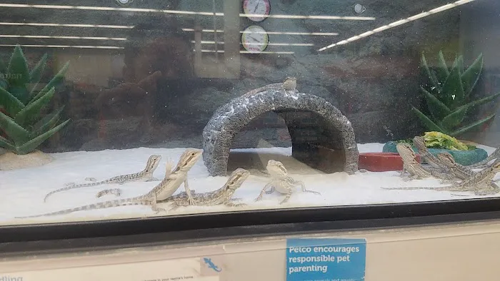 Petco Picture 10