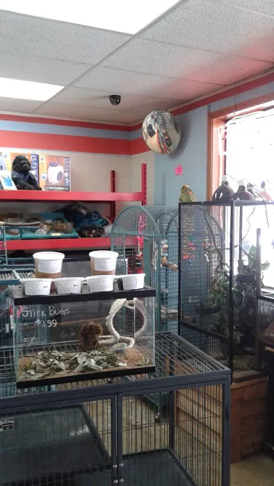 Pet Stop Picture 2