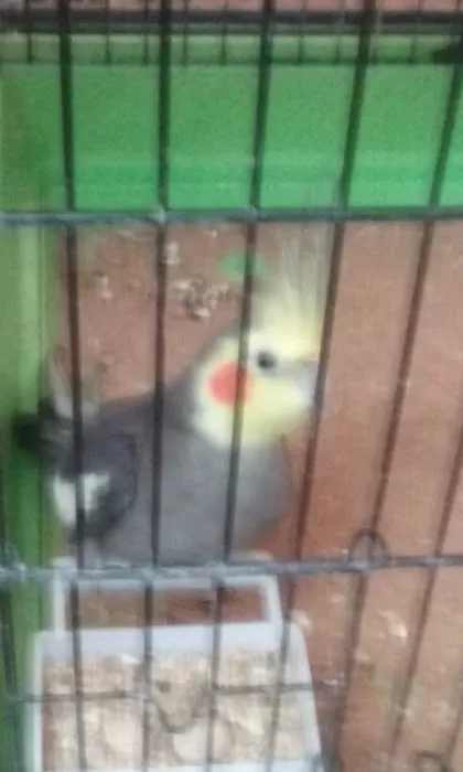 Pet Stop Picture 1