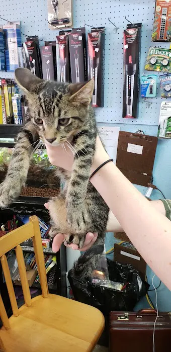 Pet Stop Picture 3