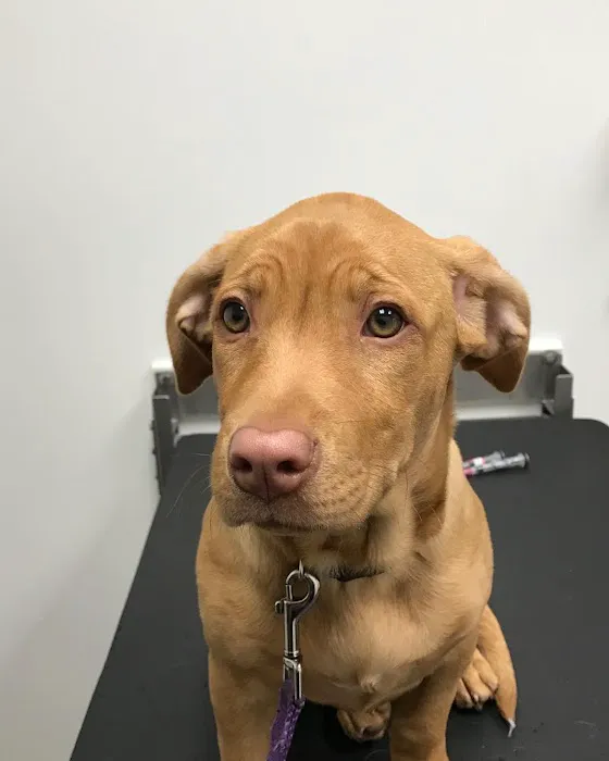 Coldwater Animal Hospital Picture 2
