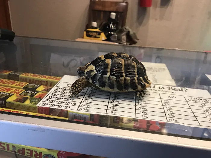 Hewitt Reptile Emporium Picture 3