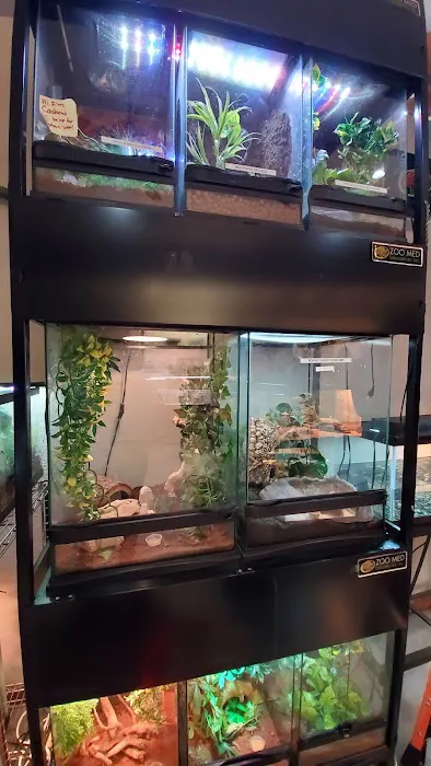 Hewitt Reptile Emporium Picture 7