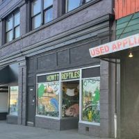 Hewitt Reptile Emporium ico