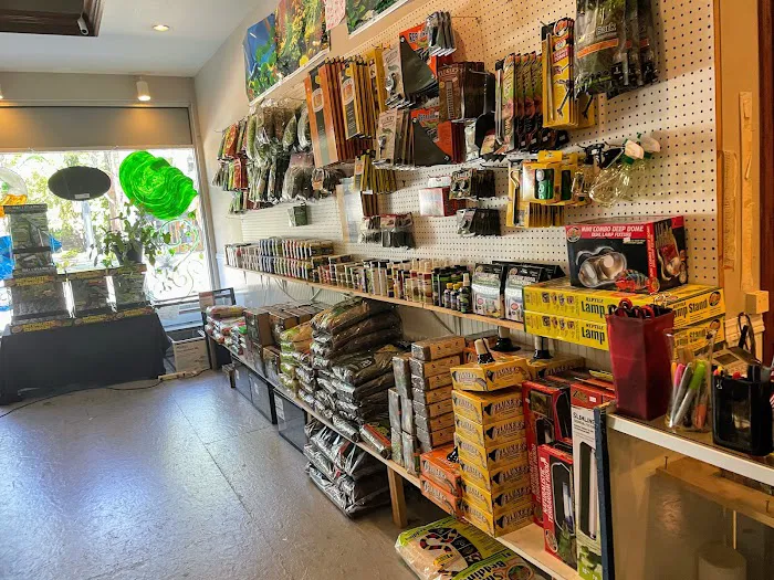 Hewitt Reptile Emporium Picture 4