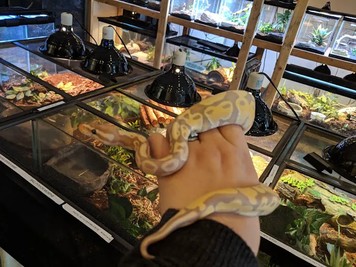 Hewitt Reptile Emporium Picture 6