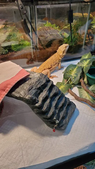Hewitt Reptile Emporium Picture 10