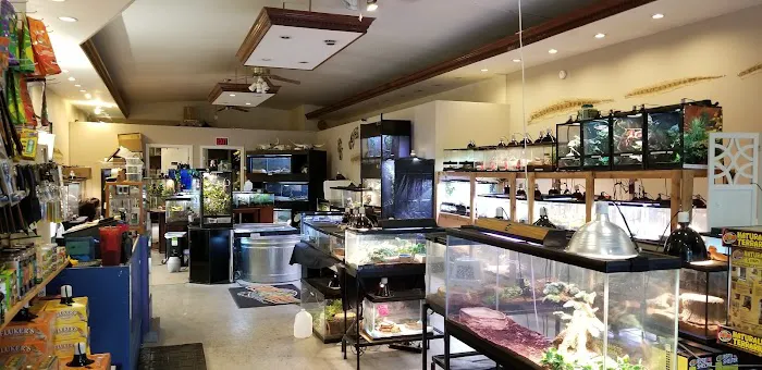 Hewitt Reptile Emporium Picture 9