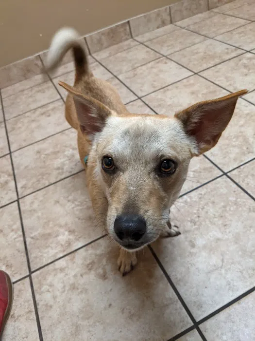 Stoney Pointe Pet Hospital Picture 2