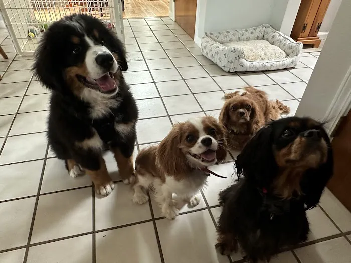 Stoney Pointe Pet Hospital Picture 8