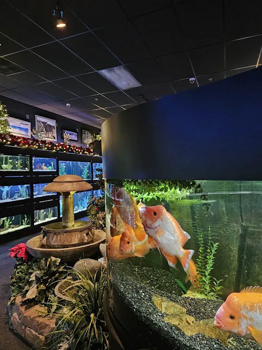 Bridges Pets, Gifts & Water Gardens Picture 6
