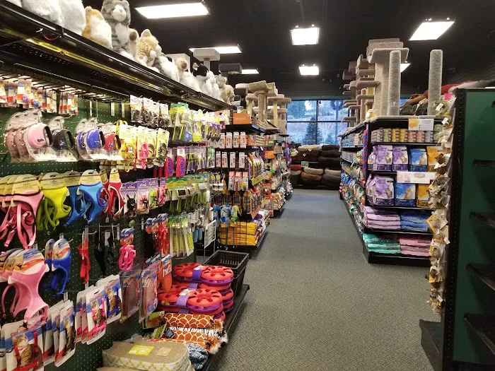 Bridges Pets, Gifts & Water Gardens Picture 4