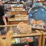 Bridges Pets, Gifts & Water Gardens