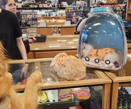 Bridges Pets, Gifts & Water Gardens