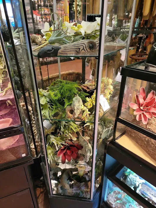Bridges Pets, Gifts & Water Gardens Picture 8
