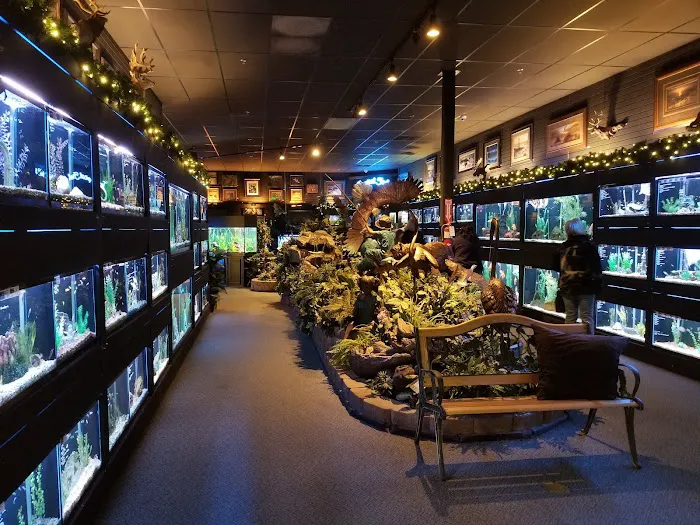 Bridges Pets, Gifts & Water Gardens Picture 9