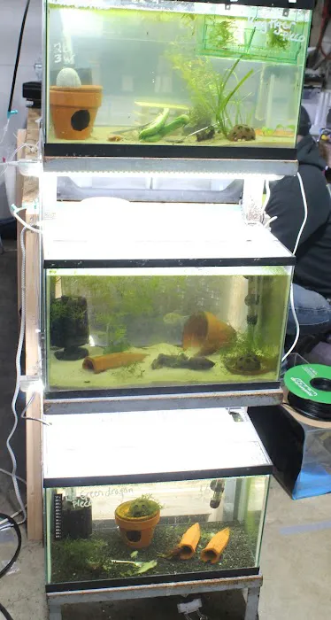 DENSMORE AQUA FARM Picture 1