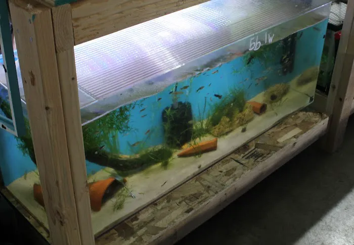 DENSMORE AQUA FARM Picture 2