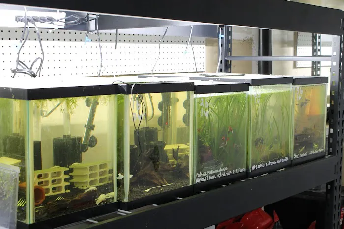 DENSMORE AQUA FARM Picture 8