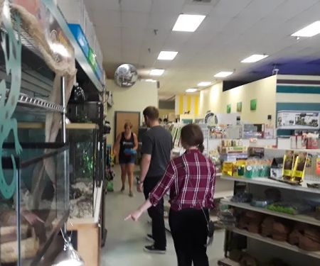 Critters & Co Pet Center& Rescue