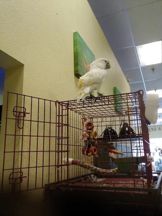 Critters & Co Pet Center& Rescue Picture 6