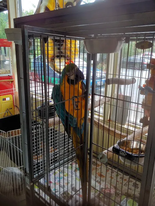 Critters & Co Pet Center& Rescue Picture 7