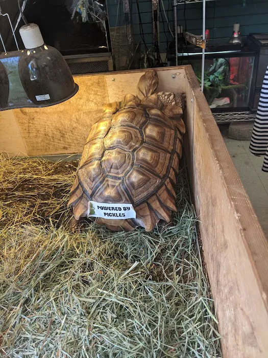 Critters & Co Pet Center& Rescue Picture 8