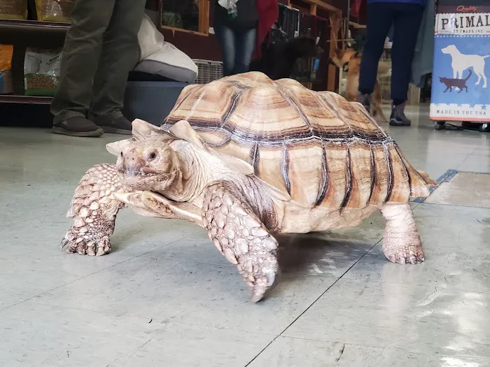 Critters & Co Pet Center& Rescue Picture 10