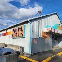 Nova Reptiles ico