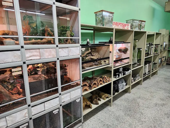 Nova Reptiles Picture 3