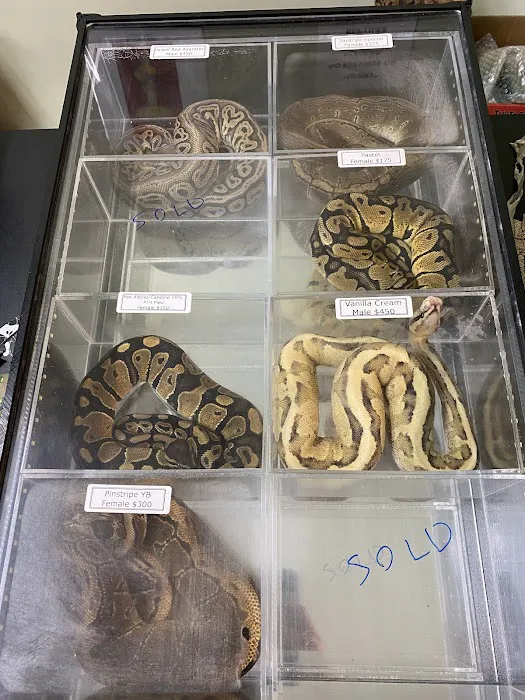 Nova Reptiles Picture 7