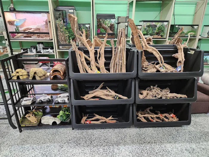 Nova Reptiles Picture 8