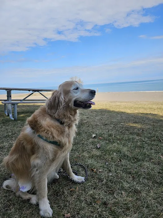 Wiley's Ark Animal Care Picture 3
