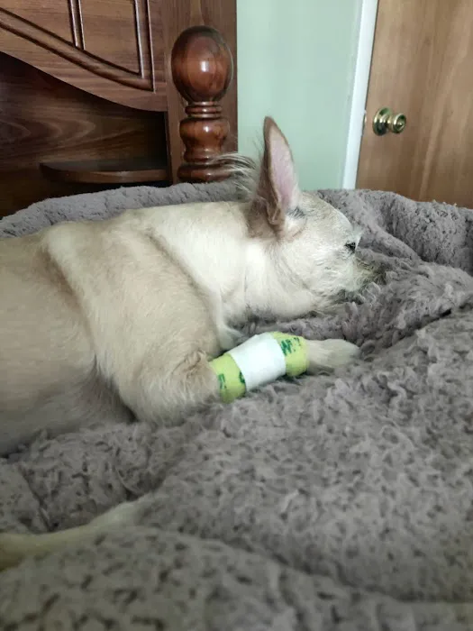 Wiley's Ark Animal Care Picture 2