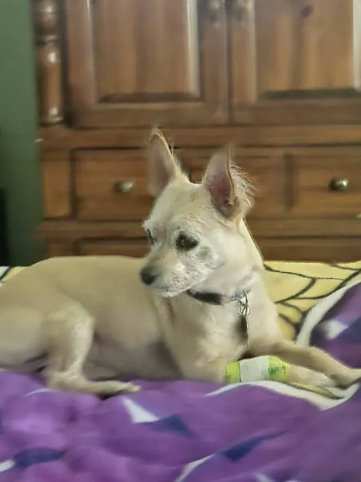 Wiley's Ark Animal Care Picture 8