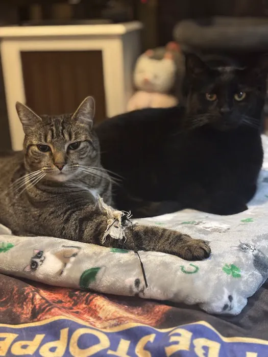 Wiley's Ark Animal Care Picture 7